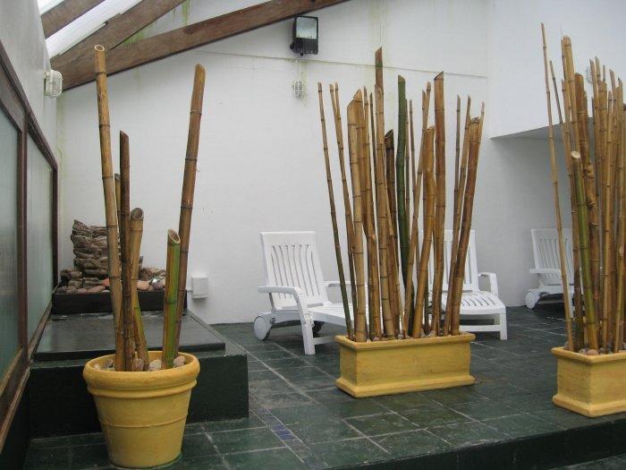 Club Sol Del Este Aparthotel Punta del Este Eksteriør bilde